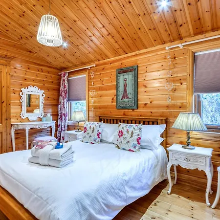3 Bed In 77736 Holiday home